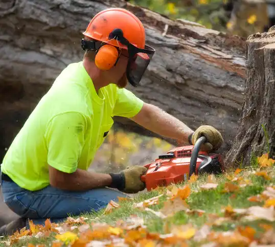 tree services Leisure Knoll